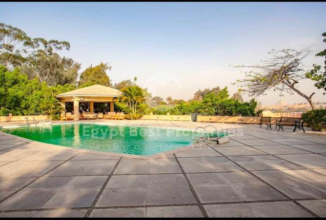 8030657 - صورة العقار 3