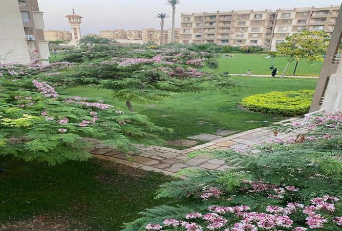 8084114 - صورة العقار 3
