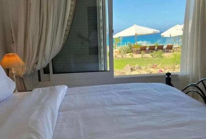 7933540 - صورة العقار 2