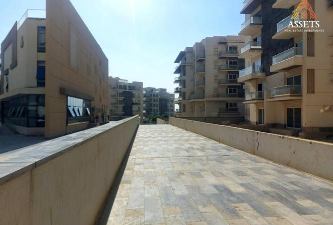 8539763 - Property Image 3