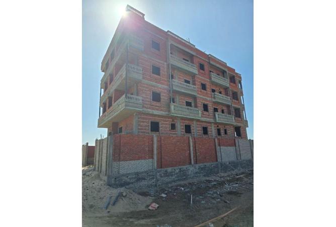 8081969 - صورة العقار 3