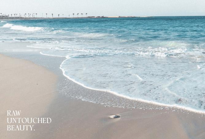 8229553 - صورة العقار 2