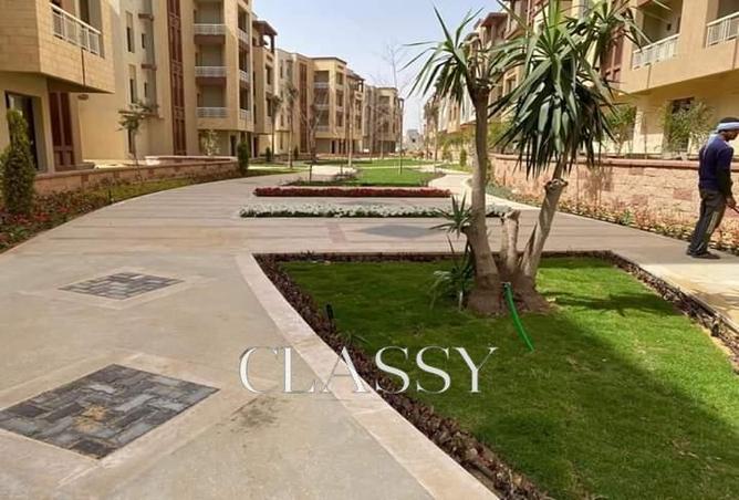 7992475 - صورة العقار 3