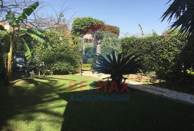 7937312 - الصورة الرئيسية للعقار