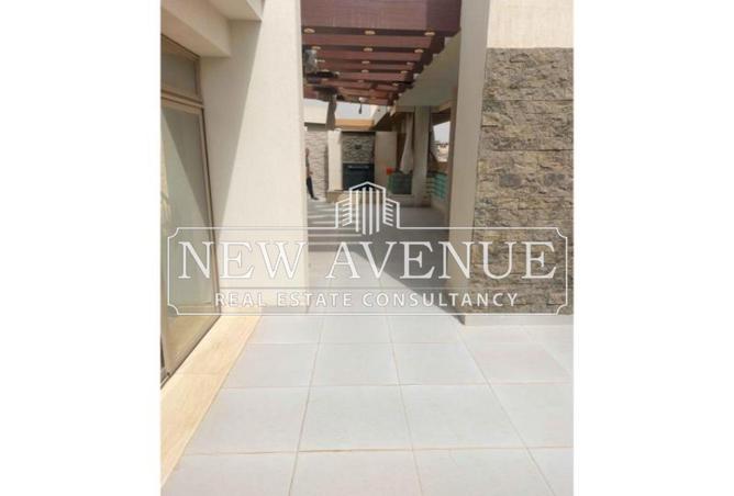 8245373 - Property Image 2