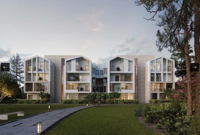 8222890 - Property Image 3