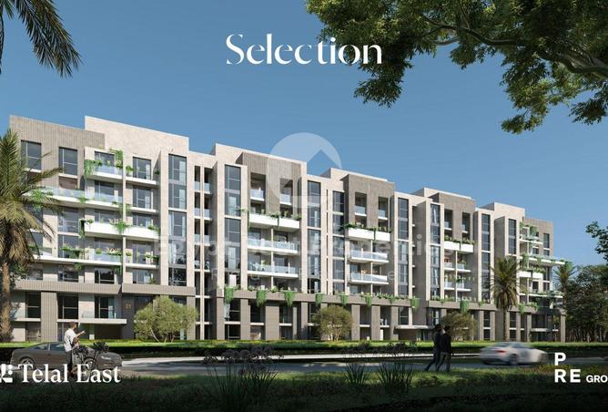 8325917 - Property Image 3