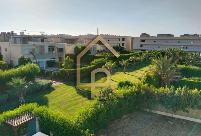 7963279 - صورة العقار 3