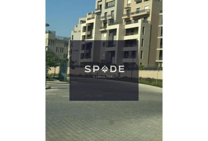 8304330 - صورة العقار 3