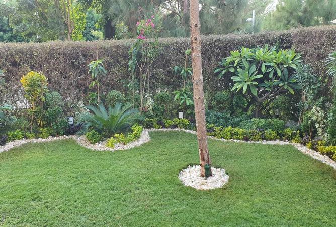 8206047 - صورة العقار 2