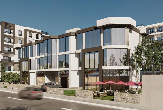 8152963 - Property Image 3