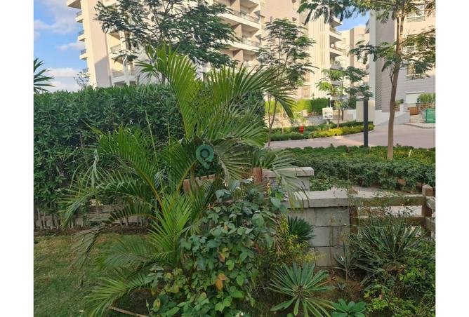 7977117 - Property Image 2