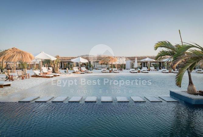 7900009 - صورة العقار 2