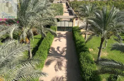 Palace - 7+ Bedrooms - 5 Bathrooms for sale in Ofok - Cairo Alexandria Desert Road - 6 October City - Giza