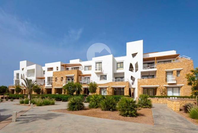 8441359 - Property Image 2