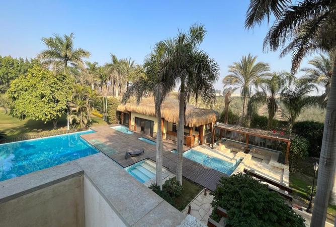 7984272 - الصورة الرئيسية للعقار
