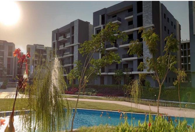 8295559 - الصورة الرئيسية للعقار