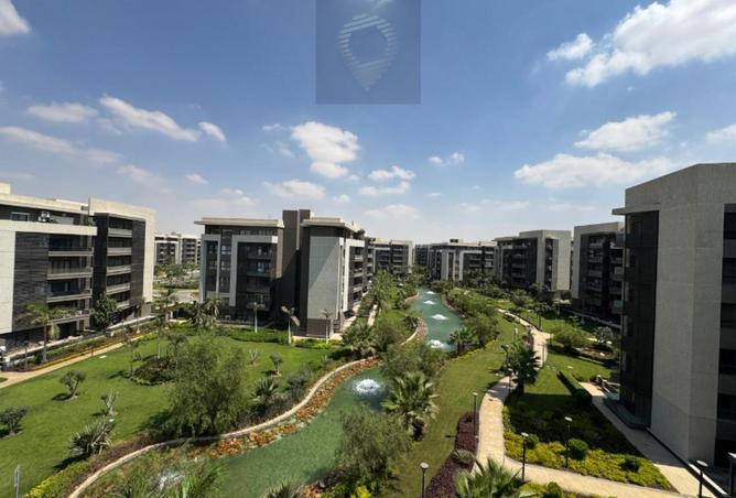 7896202 - صورة العقار 3