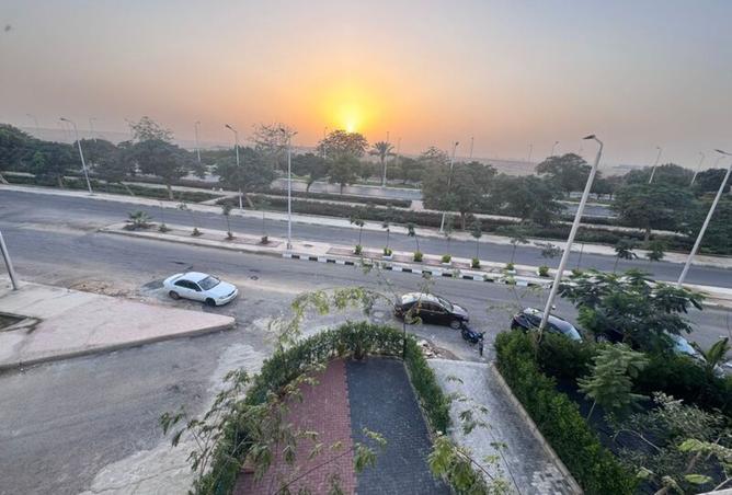 8305020 - صورة العقار 3