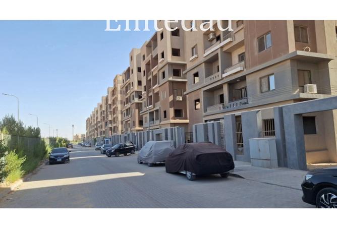 8282189 - Property Image 3