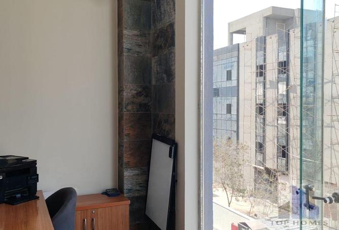 8296409 - Property Image 3