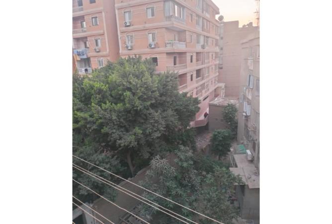 8181300 - صورة العقار 2