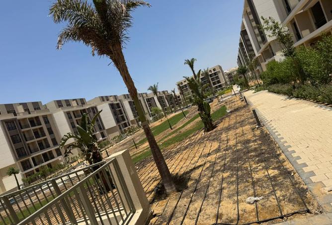 8011318 - صورة العقار 2