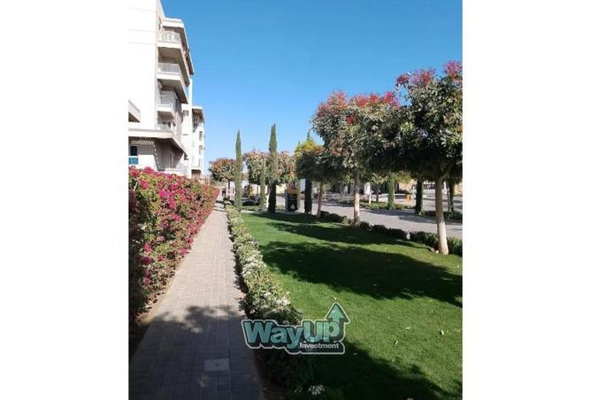 8396372 - صورة العقار 3