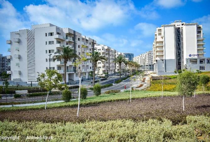 8138128 - Property Image 2