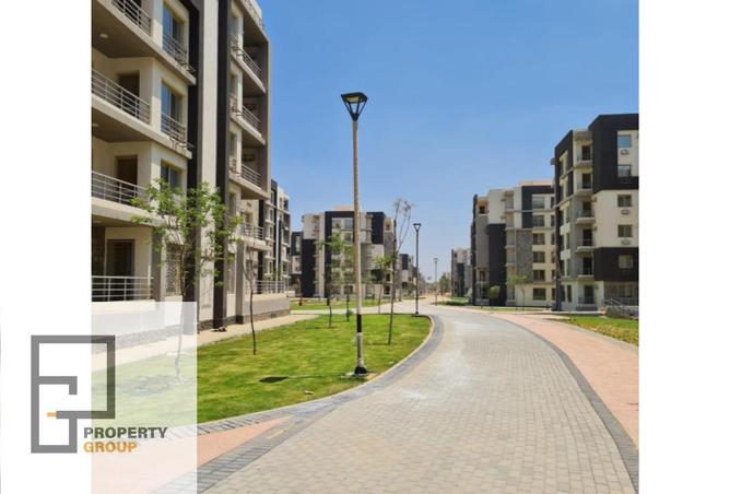 8237022 - Property Image 3