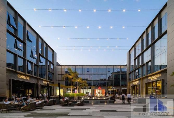 8470616 - Property Image 2