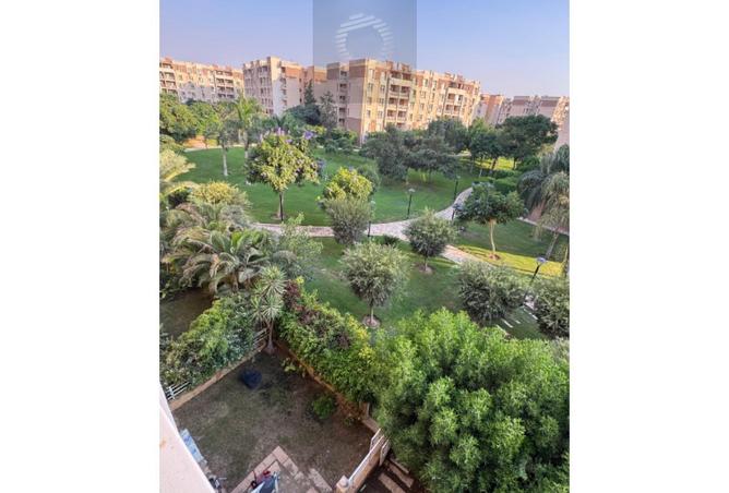 8151314 - صورة العقار 2