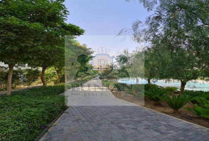 8137134 - Property Image 3