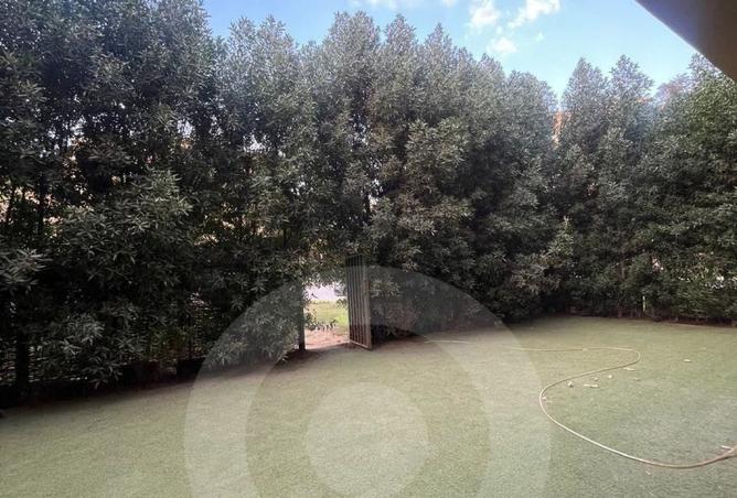 8331983 - Property Image 3