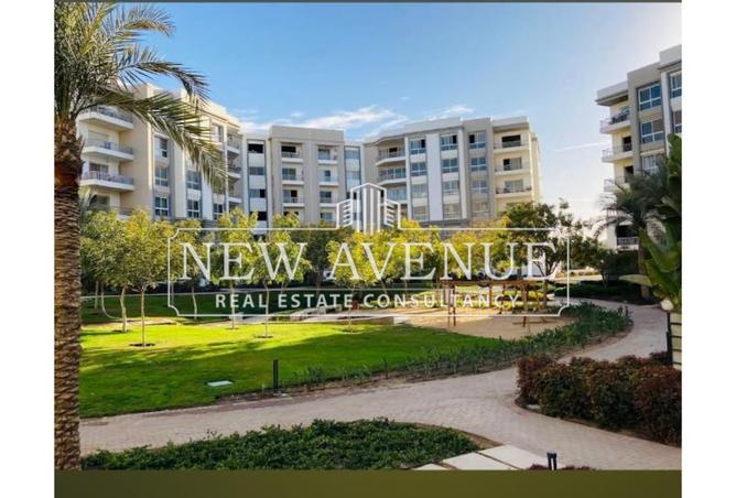 8147643 - Property Image 3