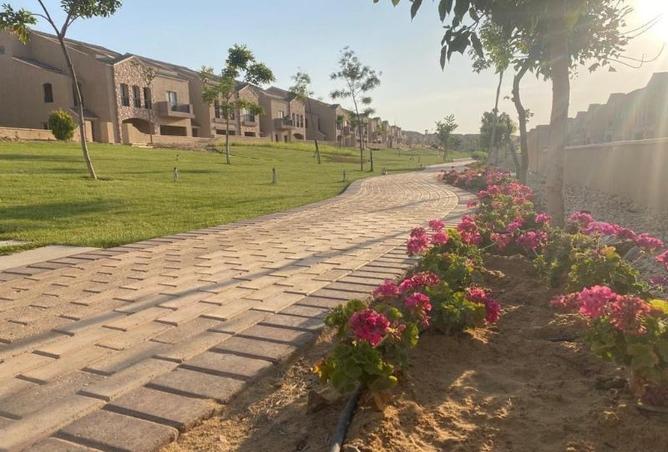 7974390 - صورة العقار 3