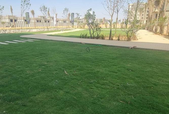 8055263 - صورة العقار 3