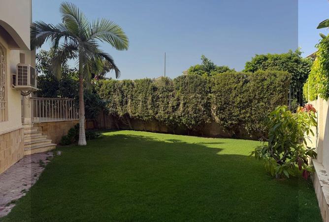8143894 - صورة العقار 3