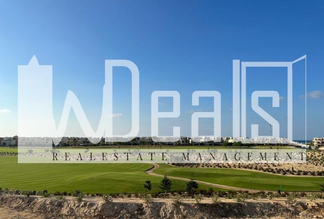 8429189 - Property Image 3