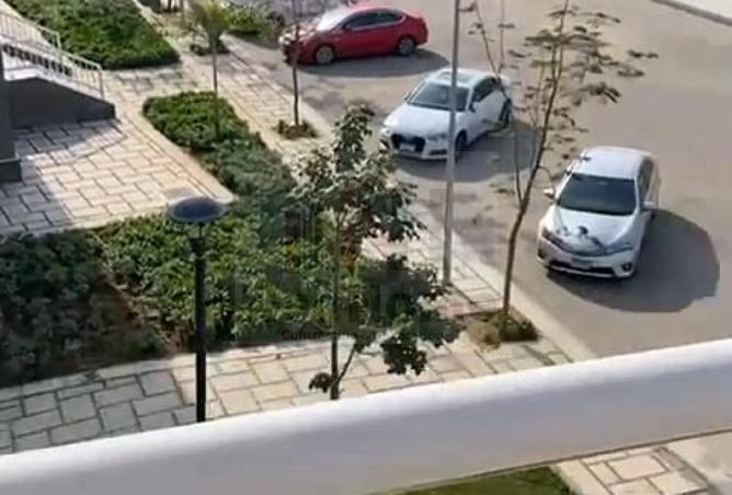 8028797 - Property Image 2