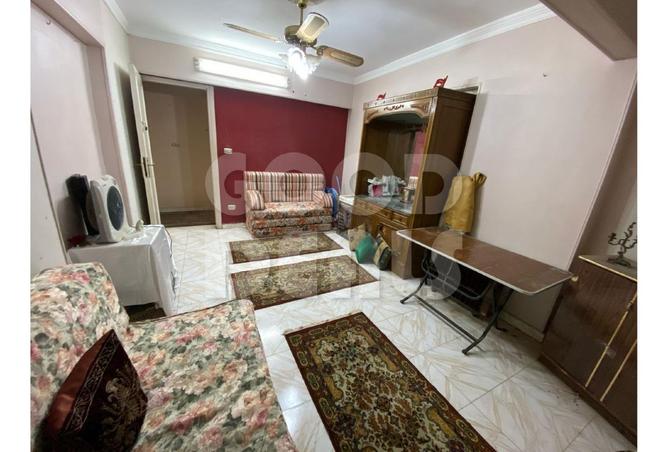 8386286 - Property Image 2