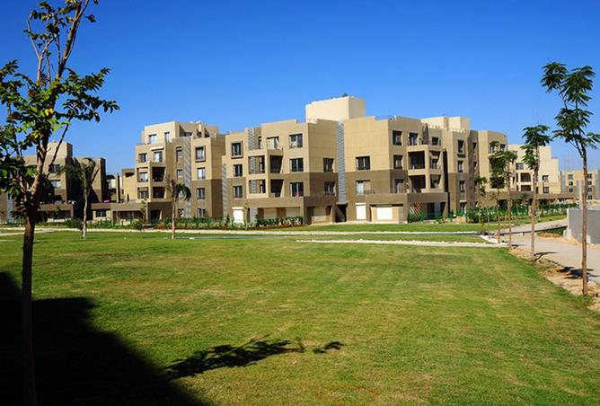 7935912 - Property Image 3