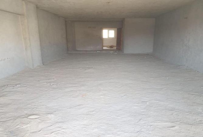 8334967 - Property Image 3