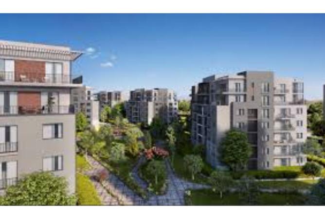 8421496 - Property Image 3