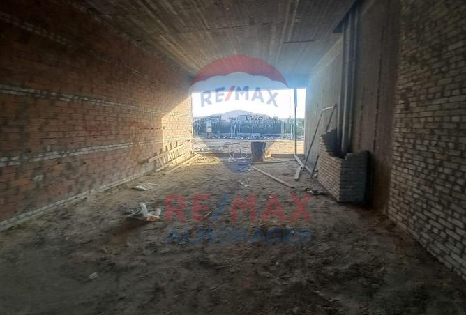 8144946 - Property Image 3