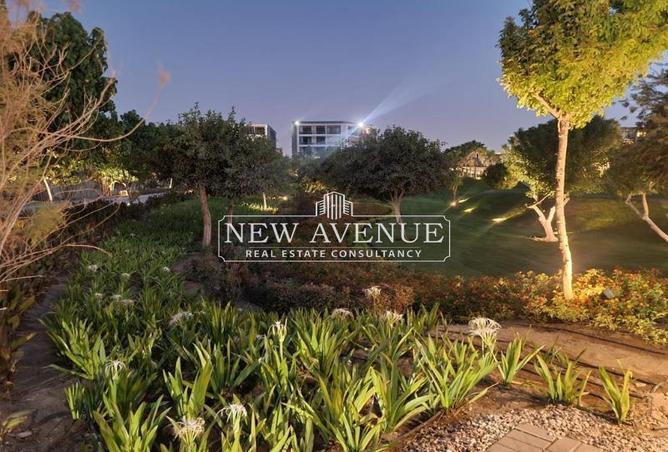 8162852 - الصورة الرئيسية للعقار