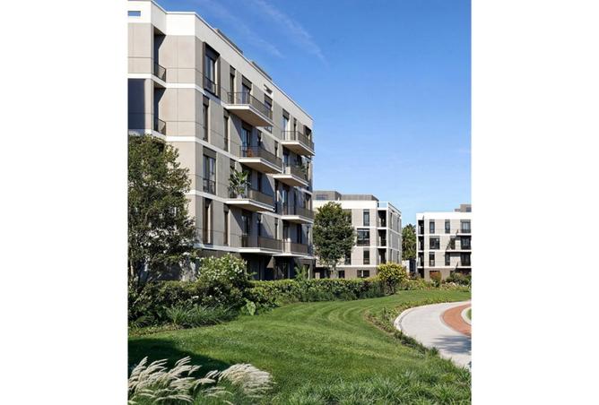 8246574 - صورة العقار 3