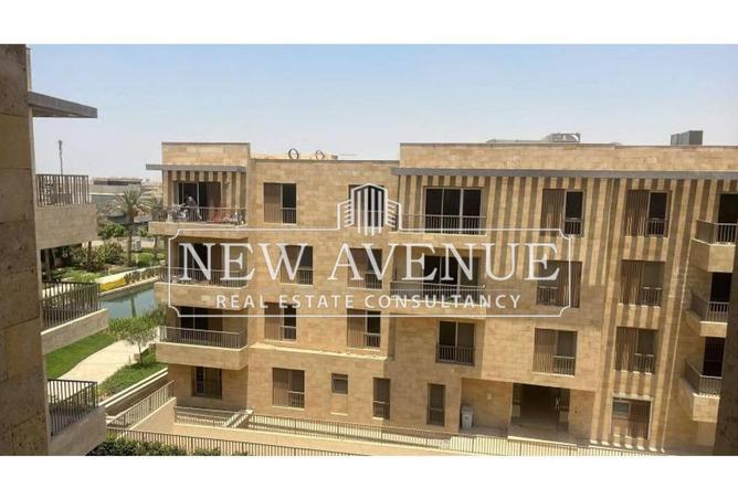 8215634 - Property Image 3