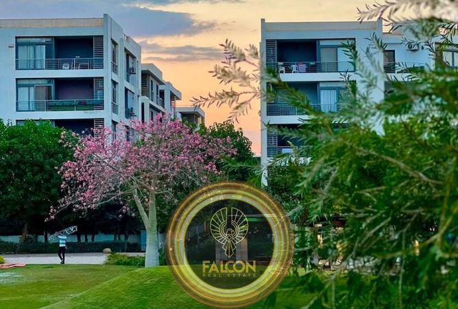 8419442 - Property Image 2