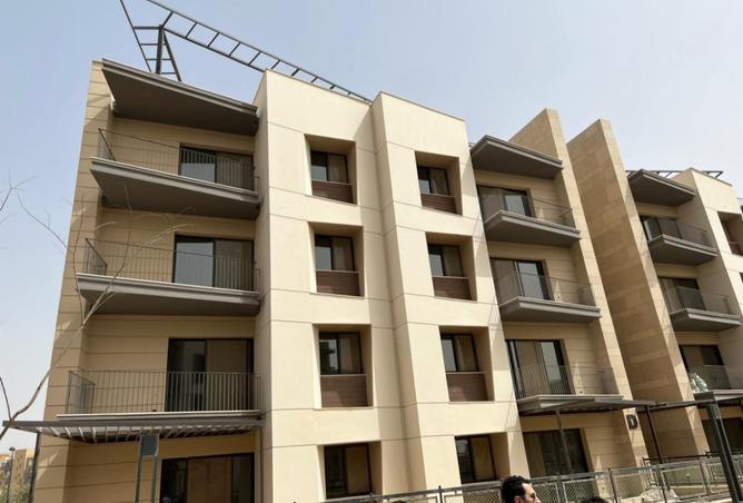 8241538 - Property Image 3